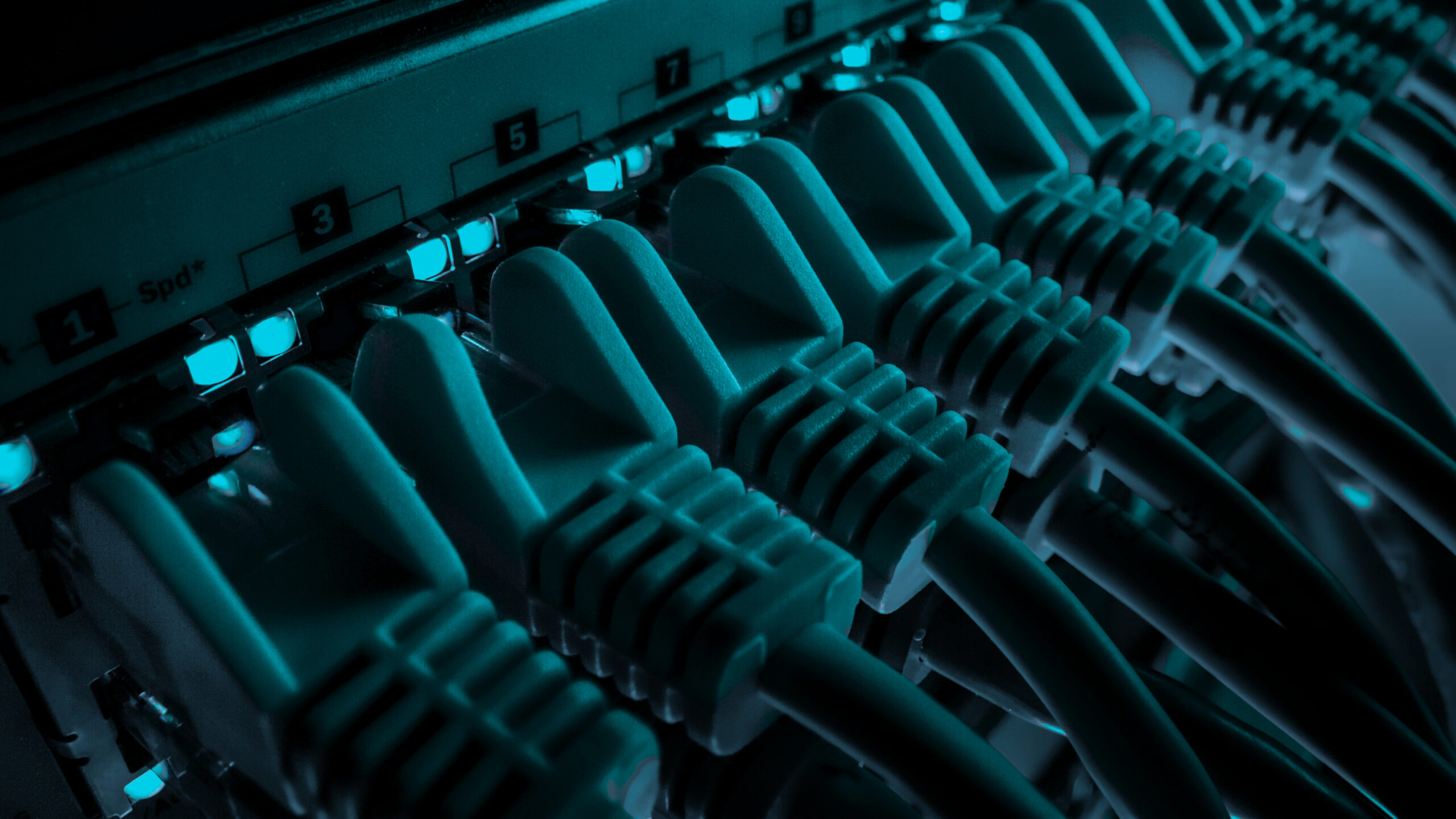 Network cables representing the Tilaa cloud infrastructure platform